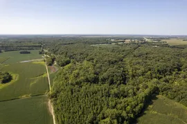 96.69 Acres, Bond County, IL, Deer Hunting