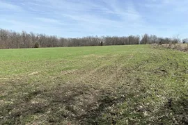 6.4 Acres, Audrain County, MO, Timberland