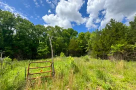 30 Acres, Laclede County, MO, Recreational