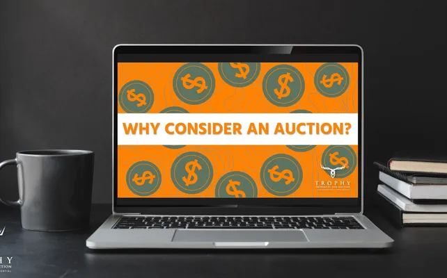 ON SCREEN Auction Video