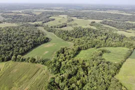 91.05 Acres, Pike County, IL