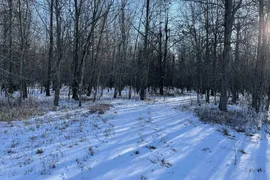 35 Acres, Fayette County, IL, Recreational